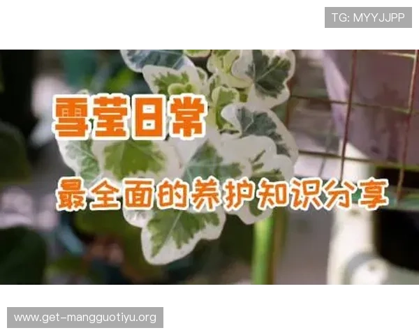 云平台体育特长怎么写比较好增强申请成功率,实用技巧与范文解析全面指导 云平台体育特长怎么写比较好增强申请成功率,实用技巧与范文解析全面指导